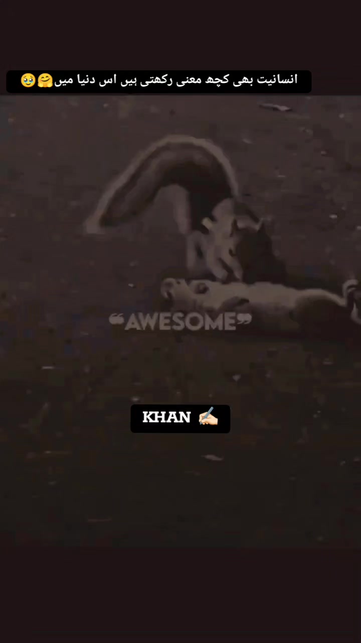 @khan