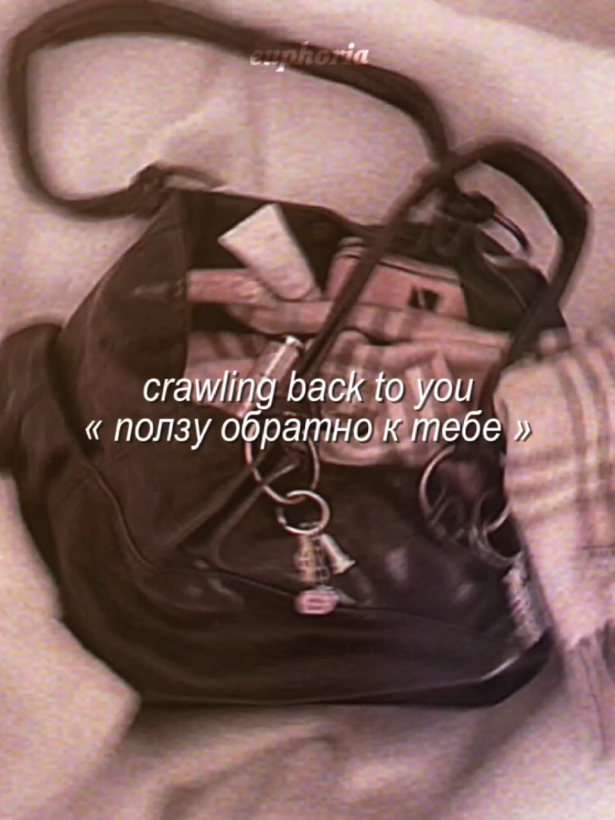 @'.𝙚́𝙪𝙥𝙝𝙤𝙧𝙞𝙖`🪷 ˎˊ˗