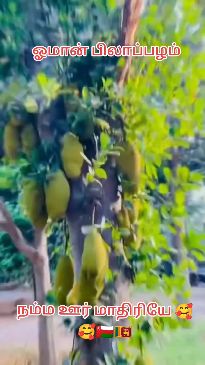 @natural is beautiful 🇴🇲🇱🇰