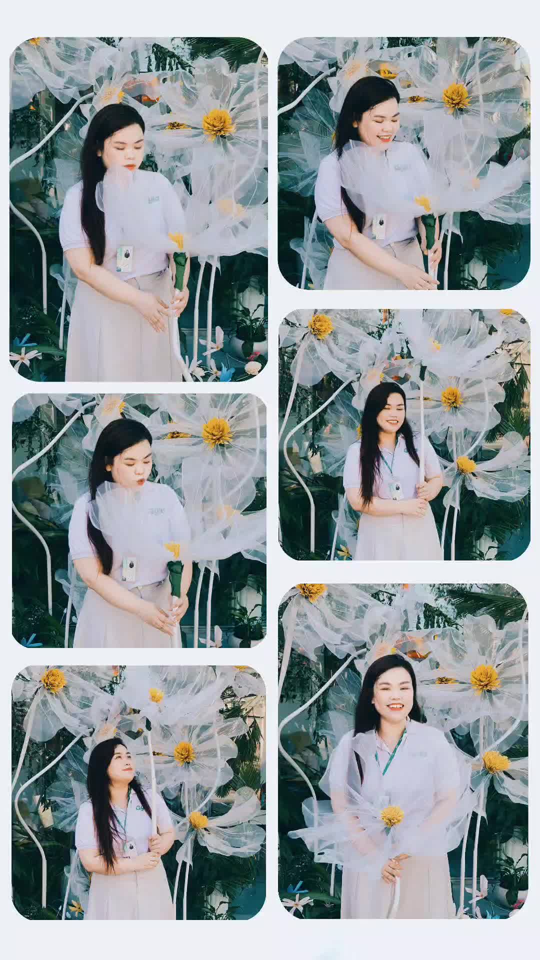 @Joy KT