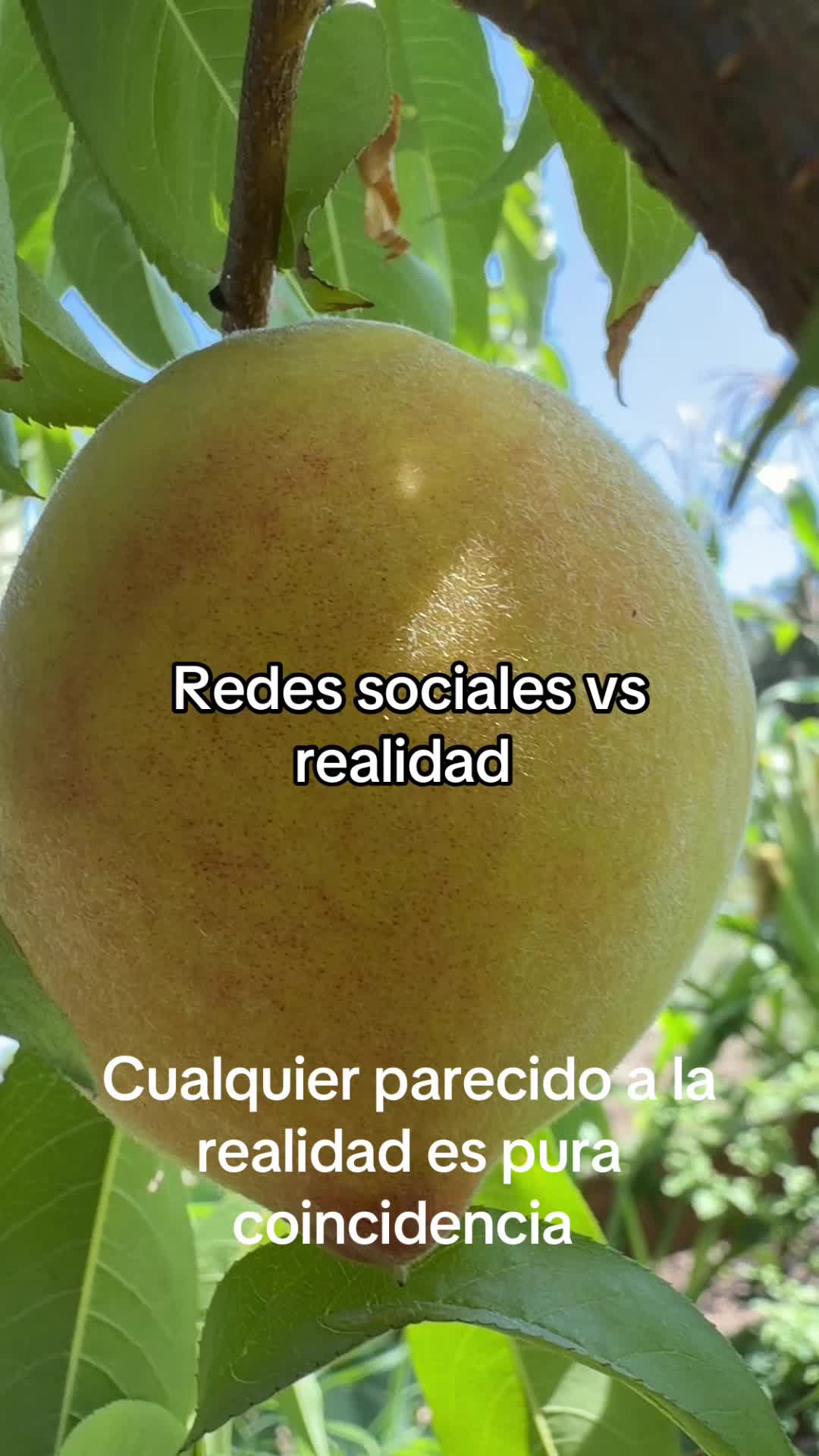 @👻