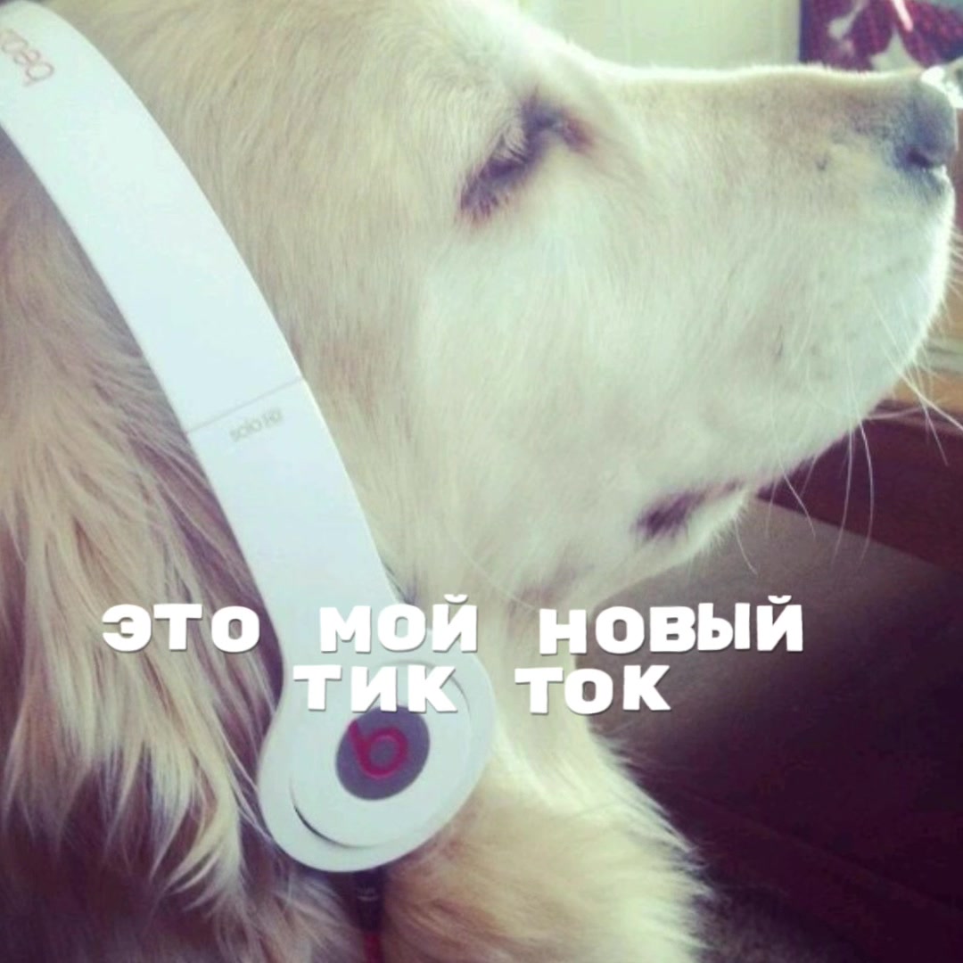 @Music 🎵