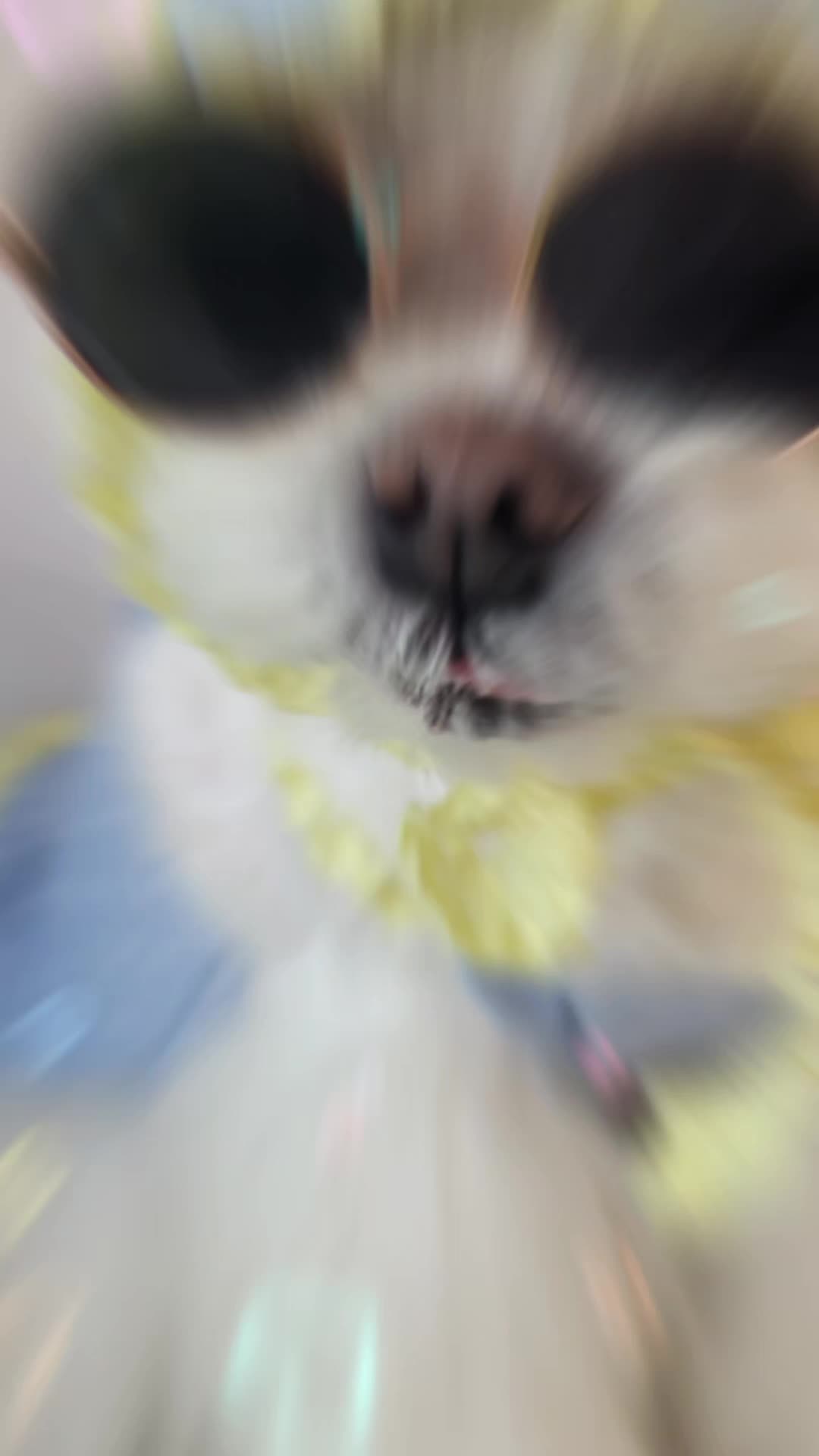 @벼리♡♡♡