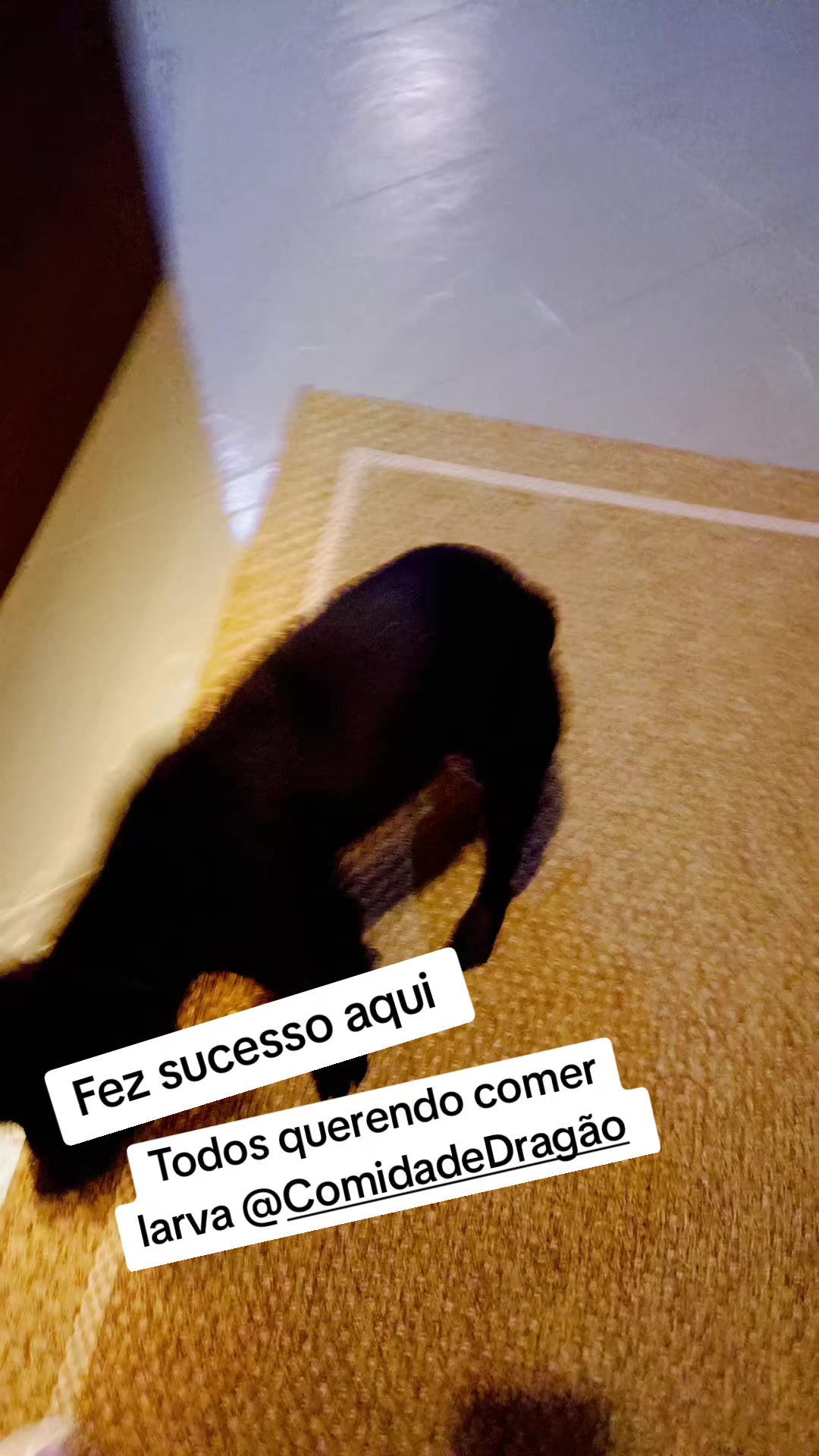 @Mara Diniz Santana