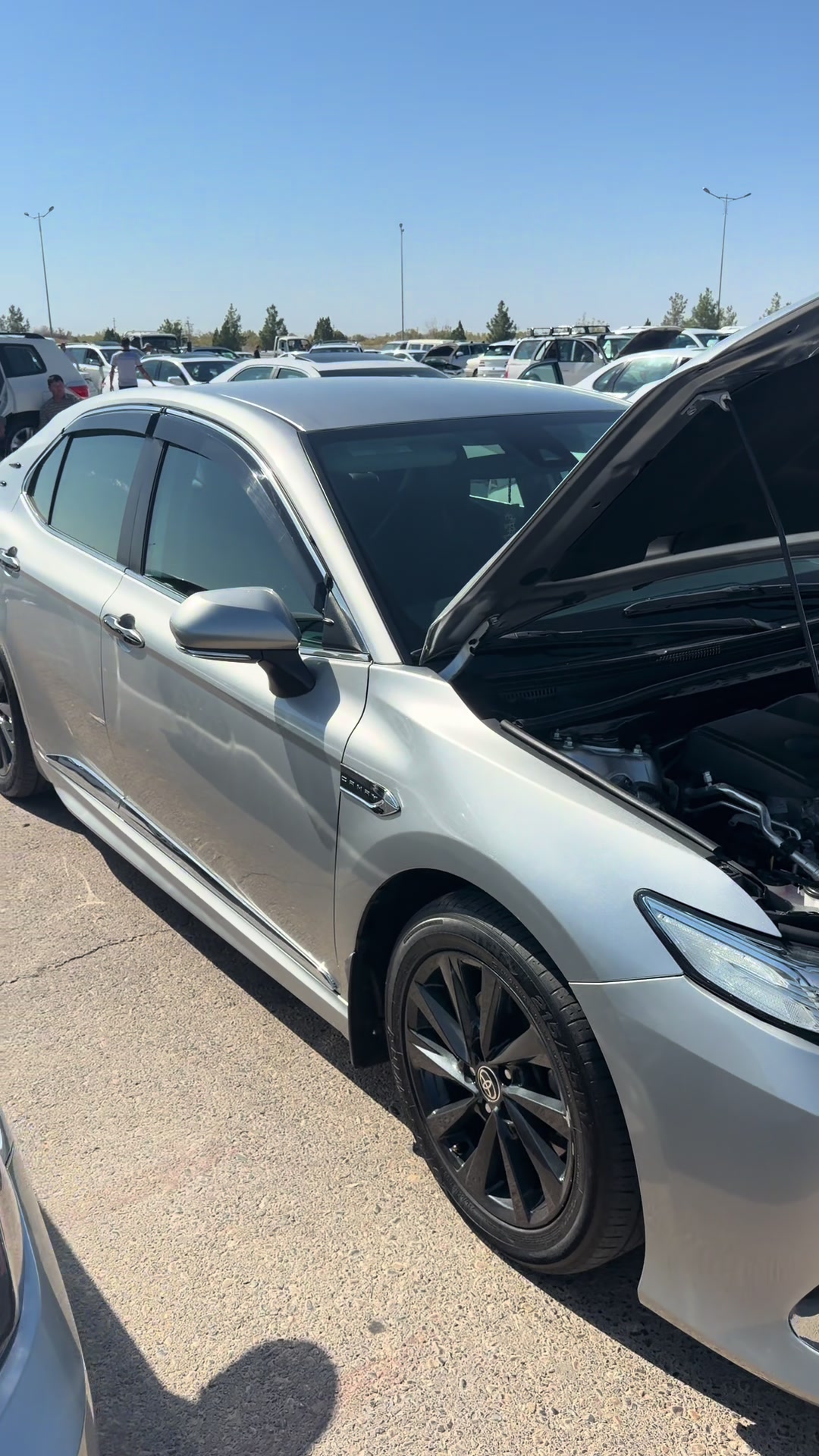 @Auto Cars . TM