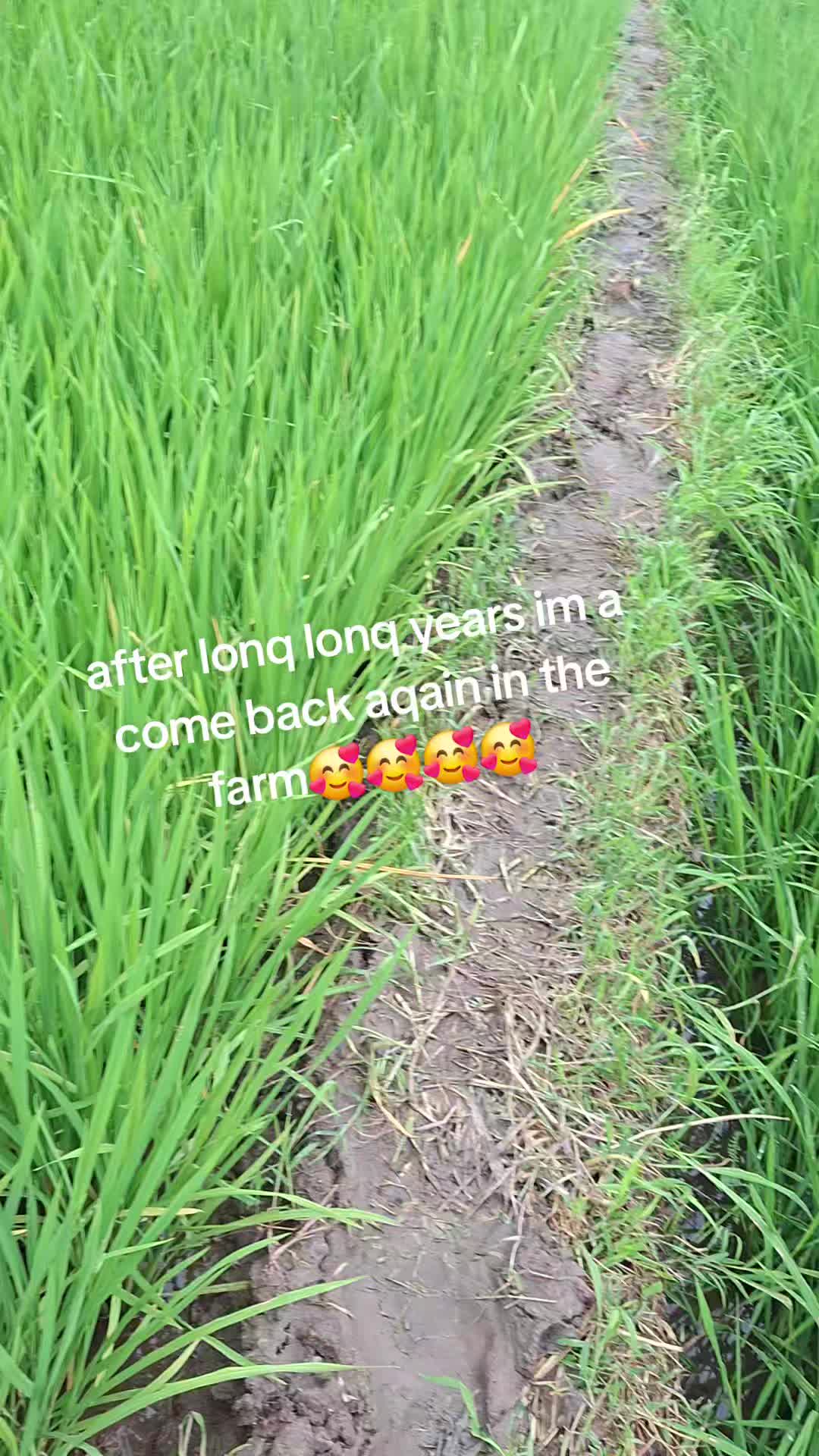 @💫❤️🩹Ms.Queen🇵🇭🇳🇵👑💘