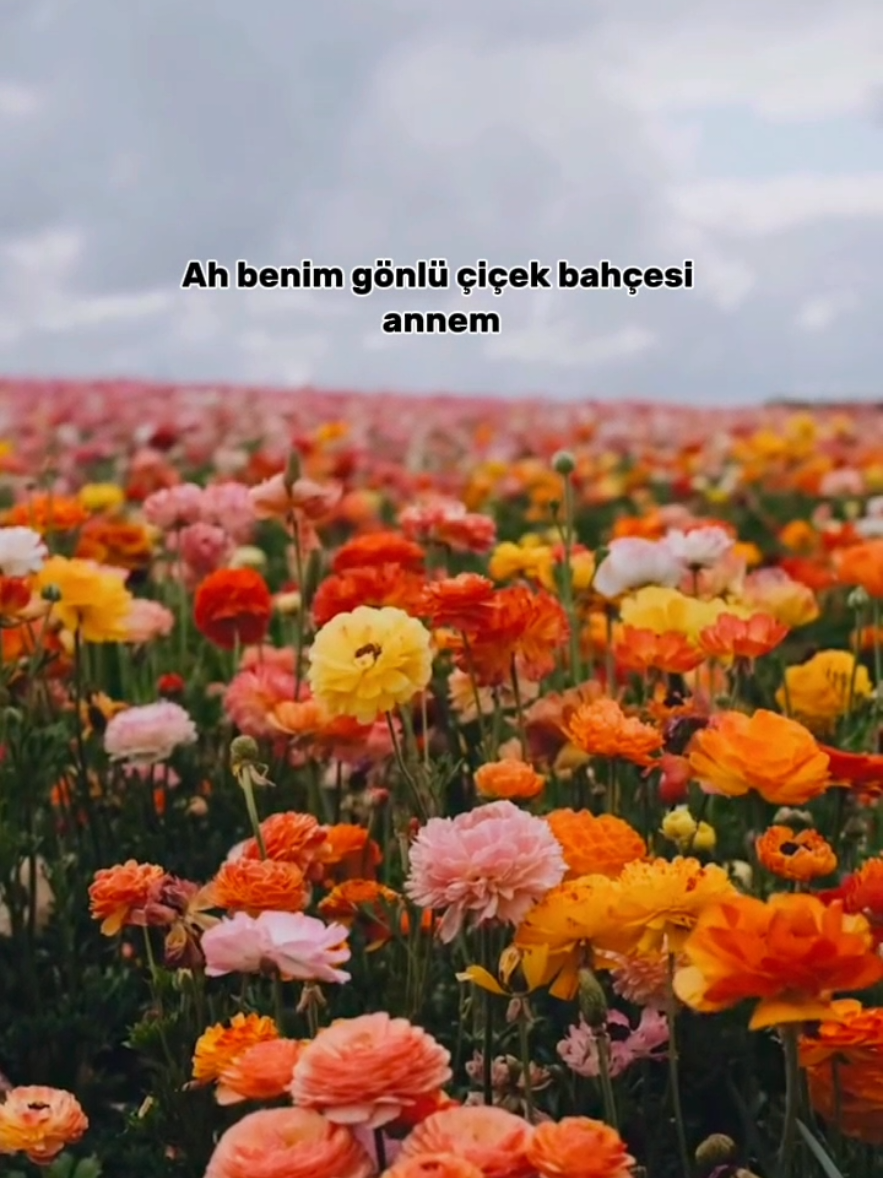 @KONUŞAN YALNIZ HAKİKATTIR