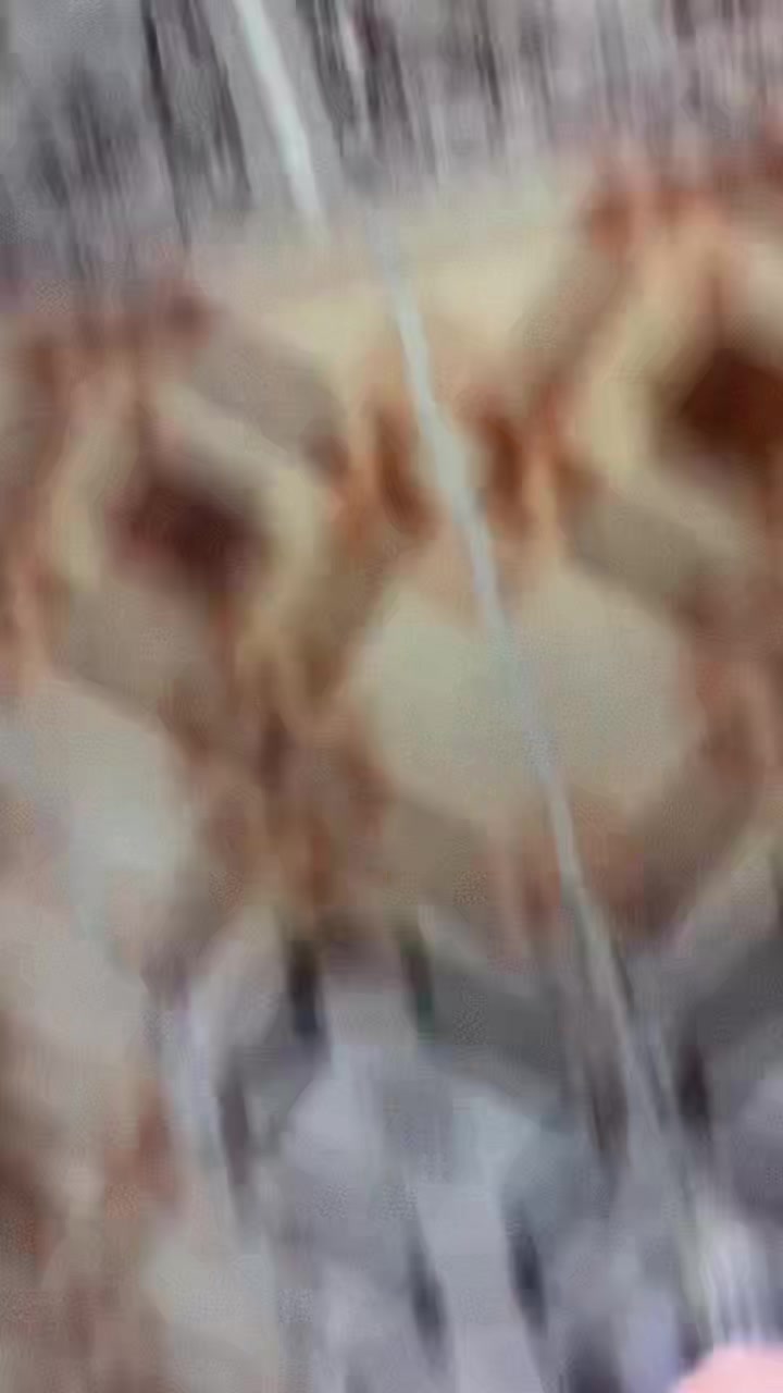 @𝐌𝐞𝐫𝐭🇹🇷