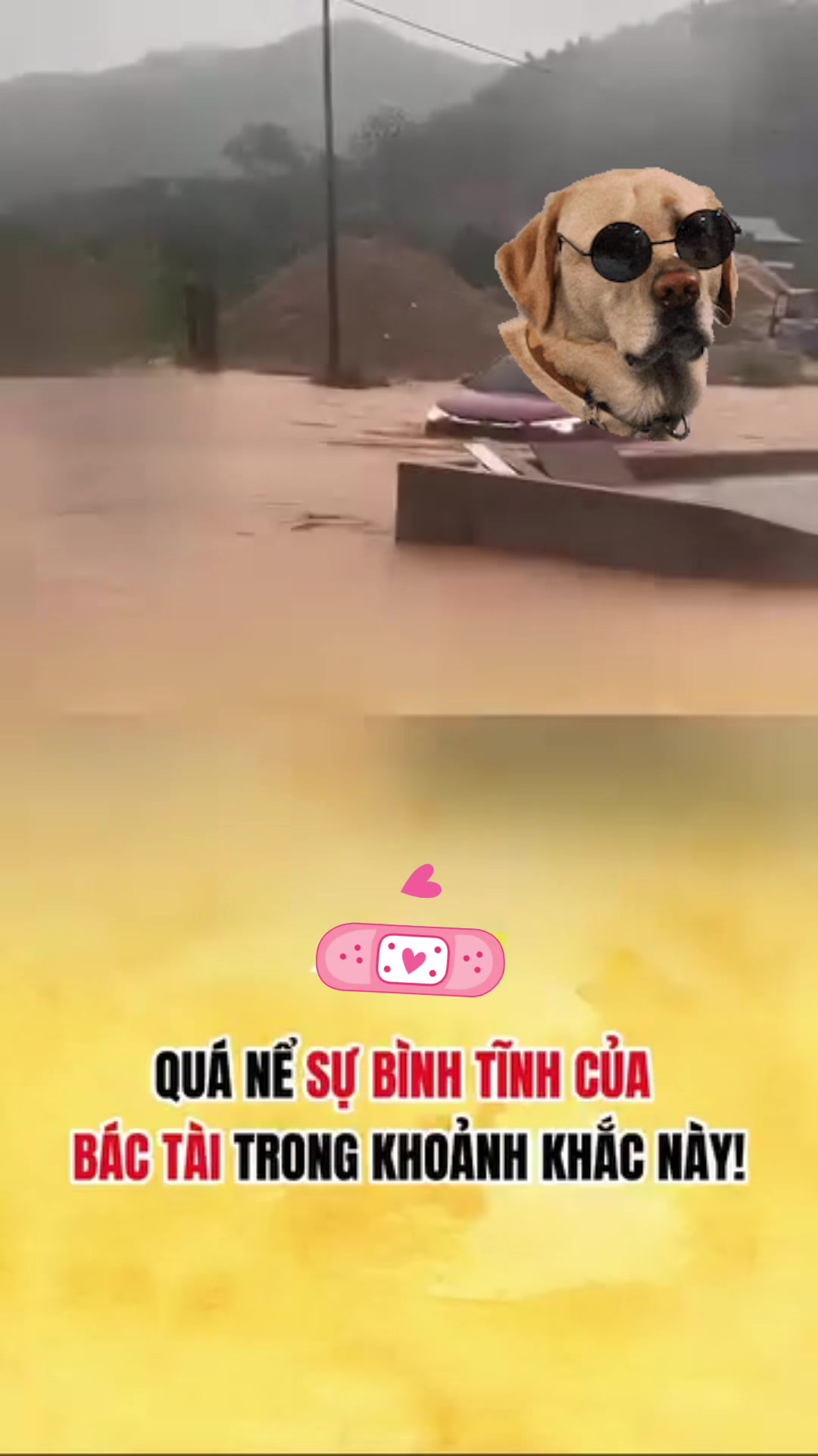 @Phạm Văn Thảo