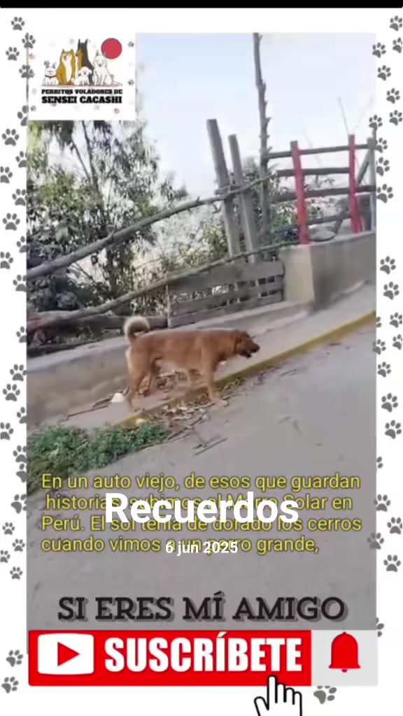 @Perritos Voladores