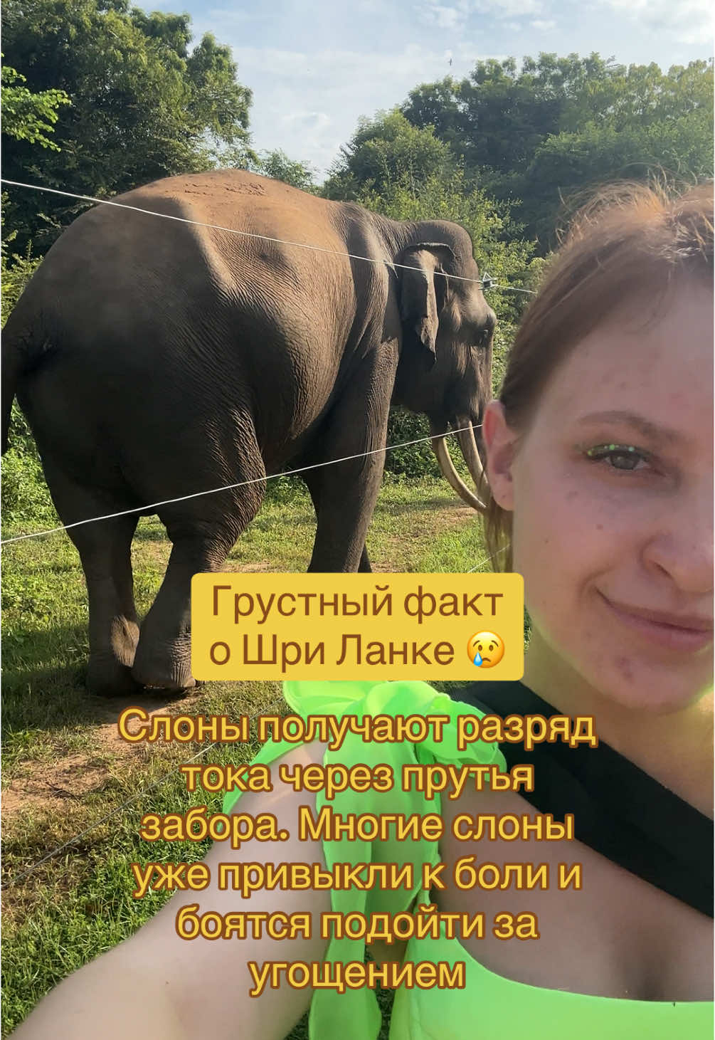 @Вероника →