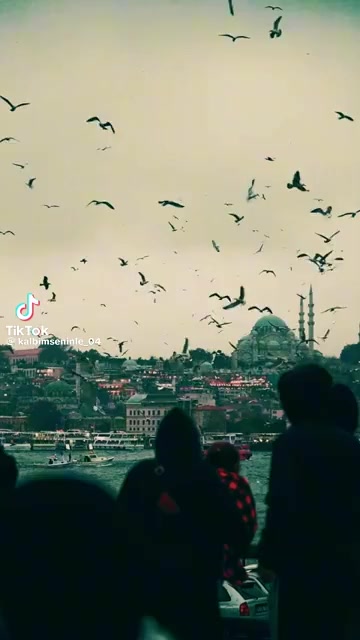 @YALNIZLAR RIHTIMI