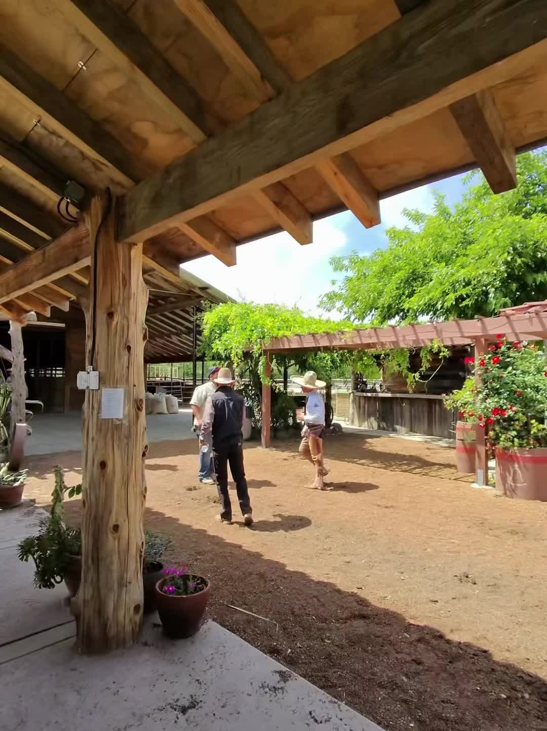@Las aventuras de RSFDA