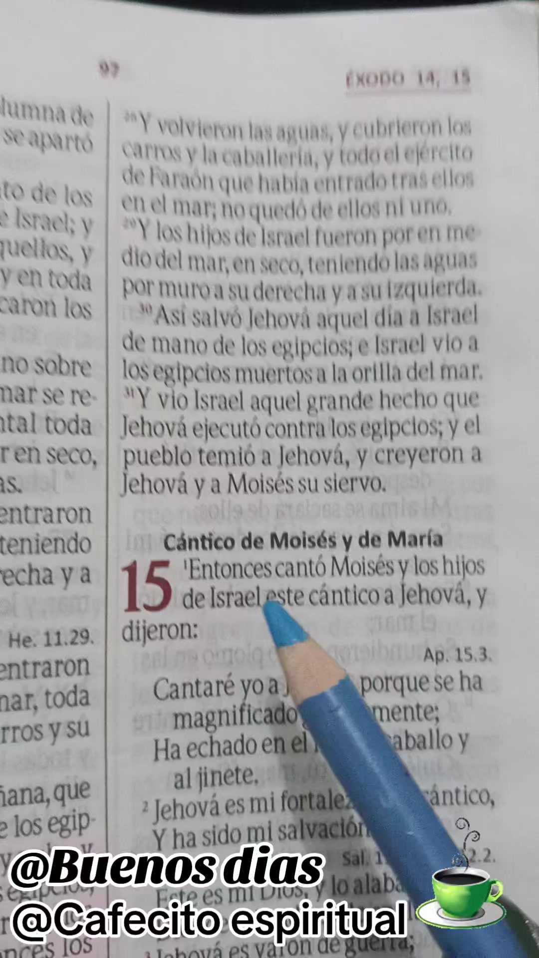 @Days P&eacute;rez