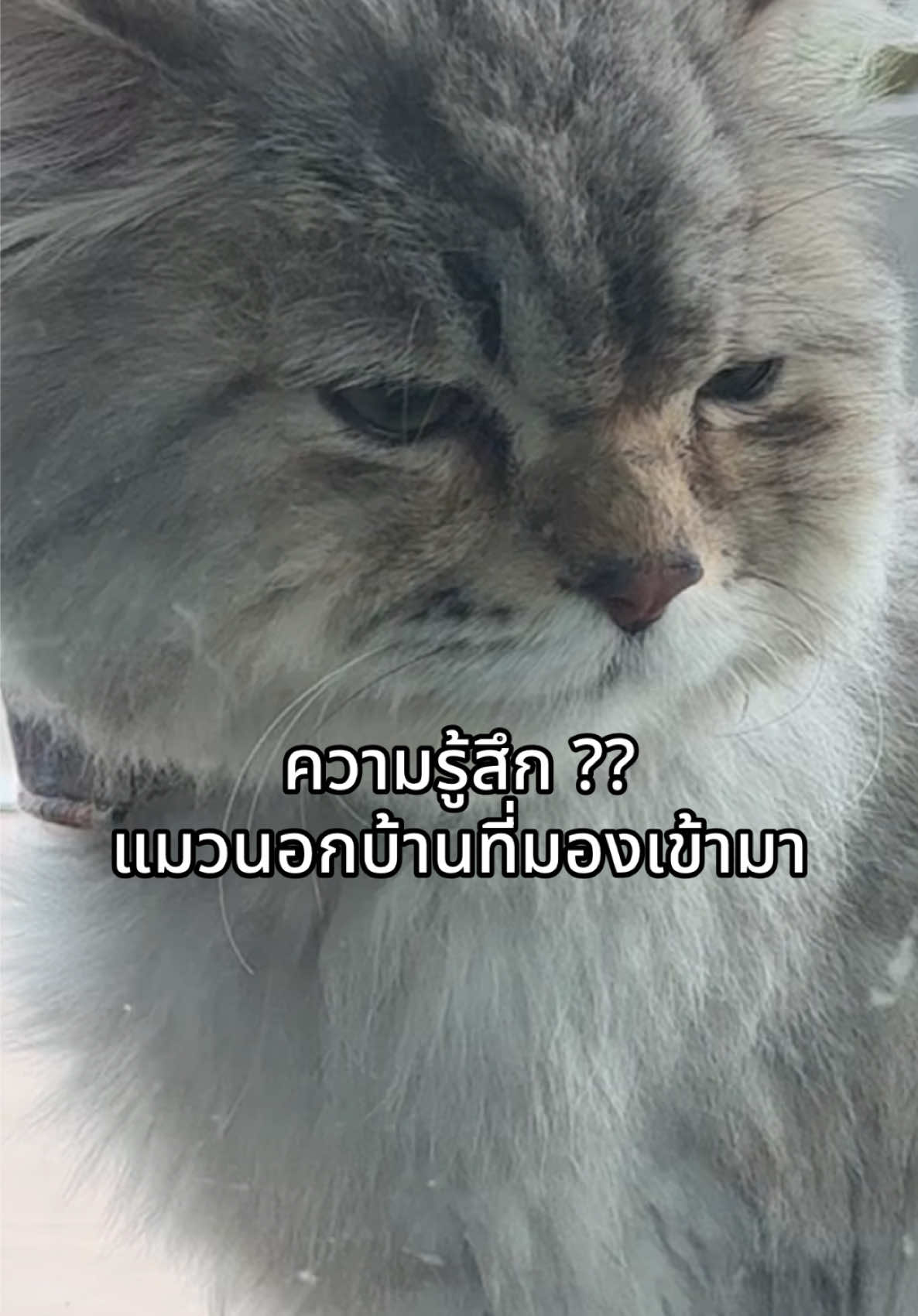 @มุกหมวยที่ชอบดื่ม