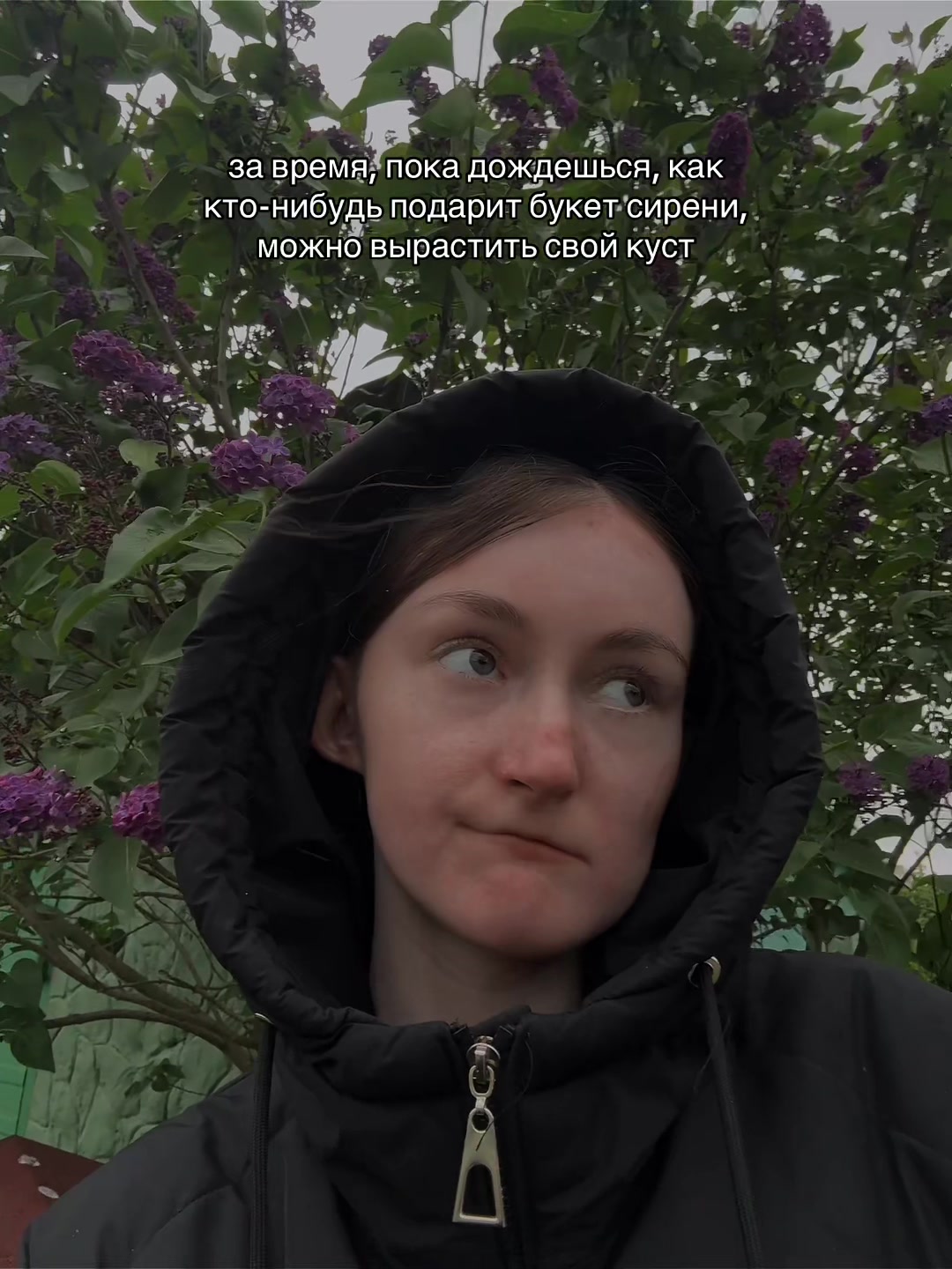 @дочка босса 3.0