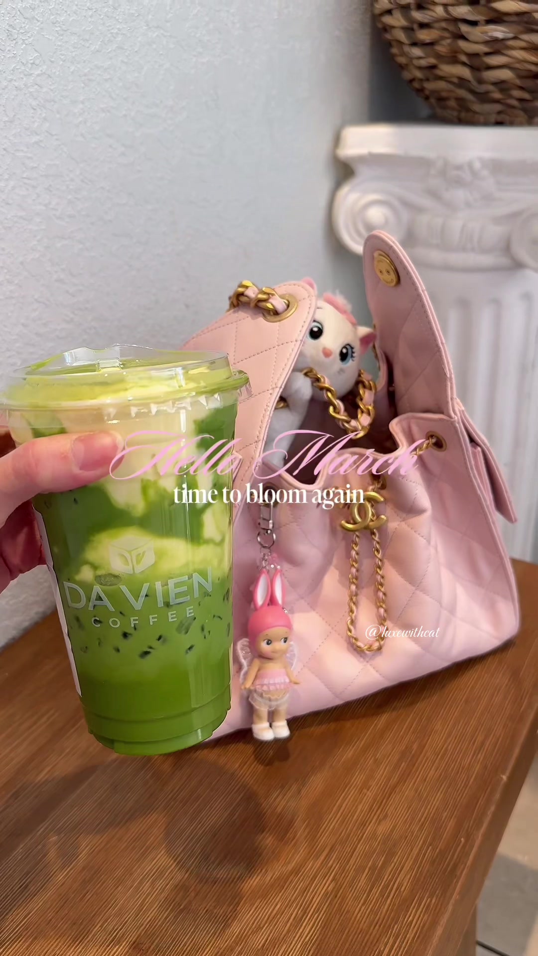@cat ⋆˙⟡ ♡⋆˙