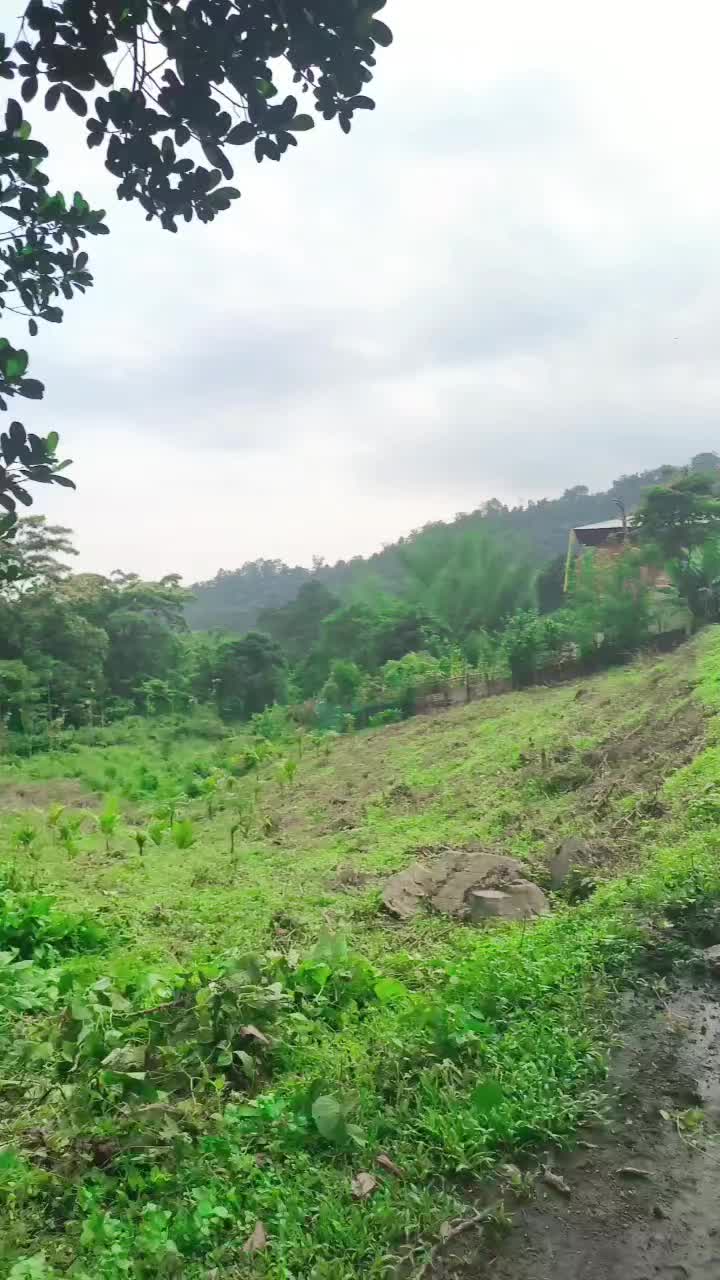 @Sangay Chenzom