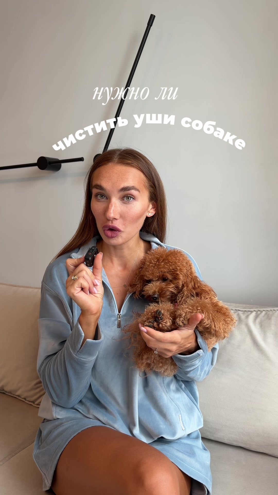 @beatrice_poodle