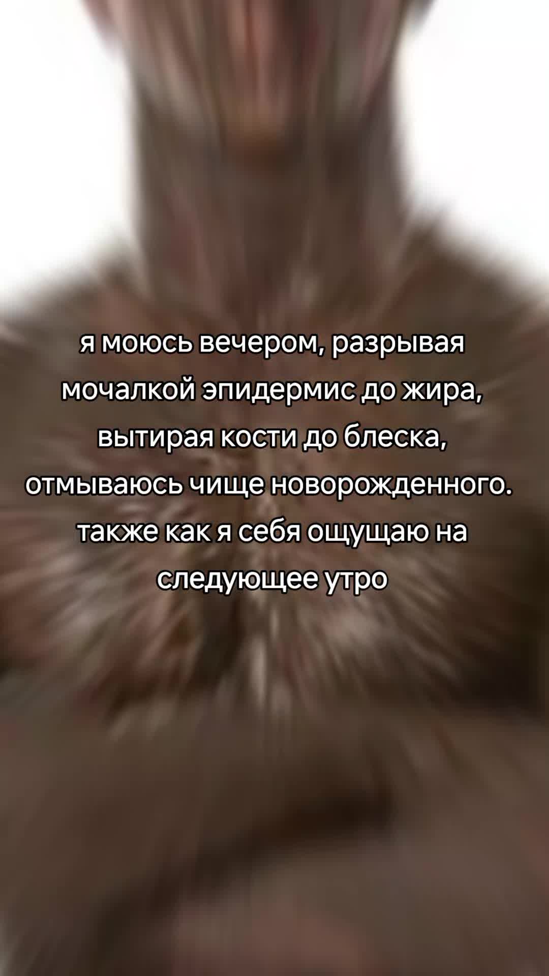 @sir kochka