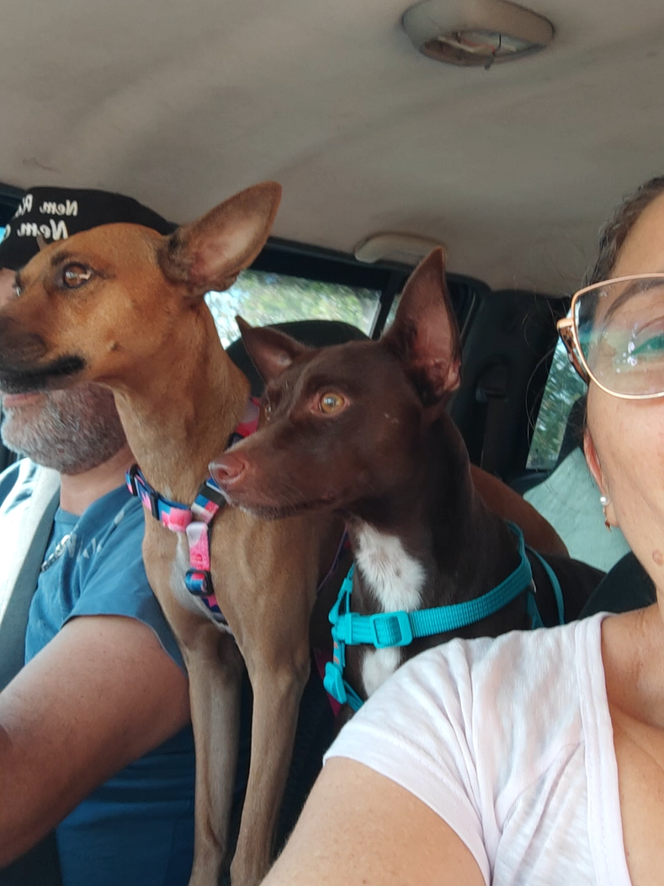 @Belinha e tiamara
