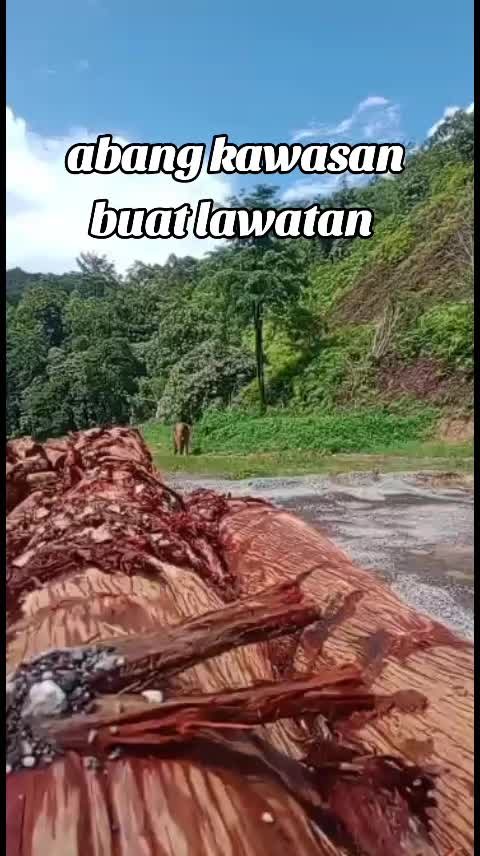 @Wan Matau