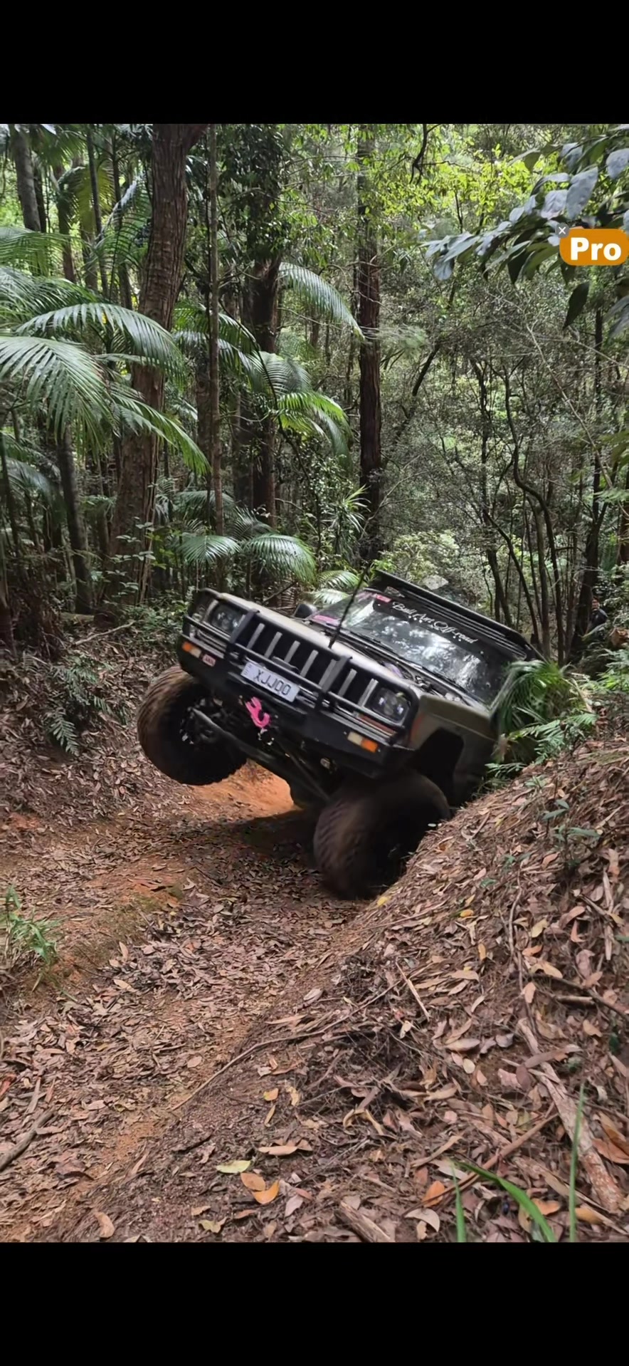 @Bull Ant Offroading