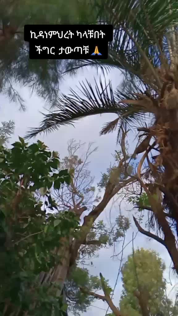 @አዛሪያ🩸