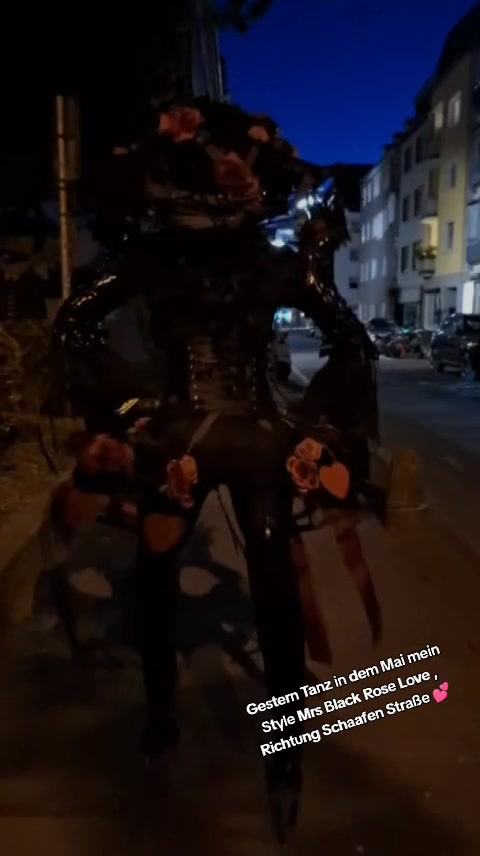 @Stephan Krajczewski