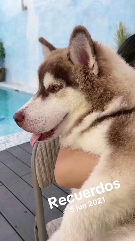 @Ceci 💖