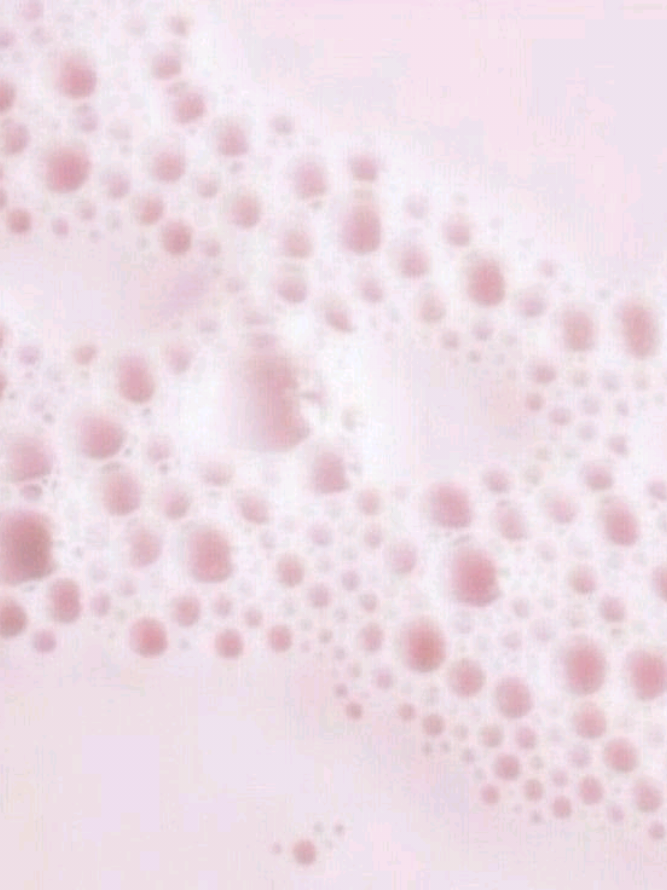 @𝖻𝗂𝖻𝗂𝗂  ✿𝆬