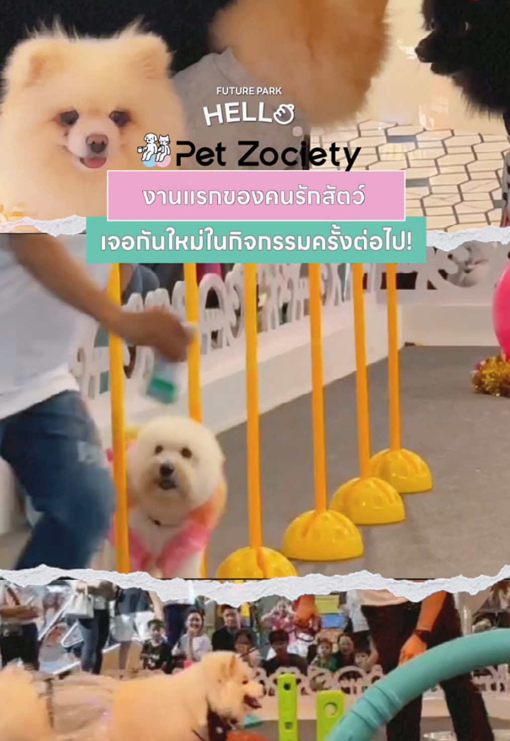 @💚 Future Park & Zpell 💚