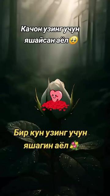 @HAYATIM KIZIM