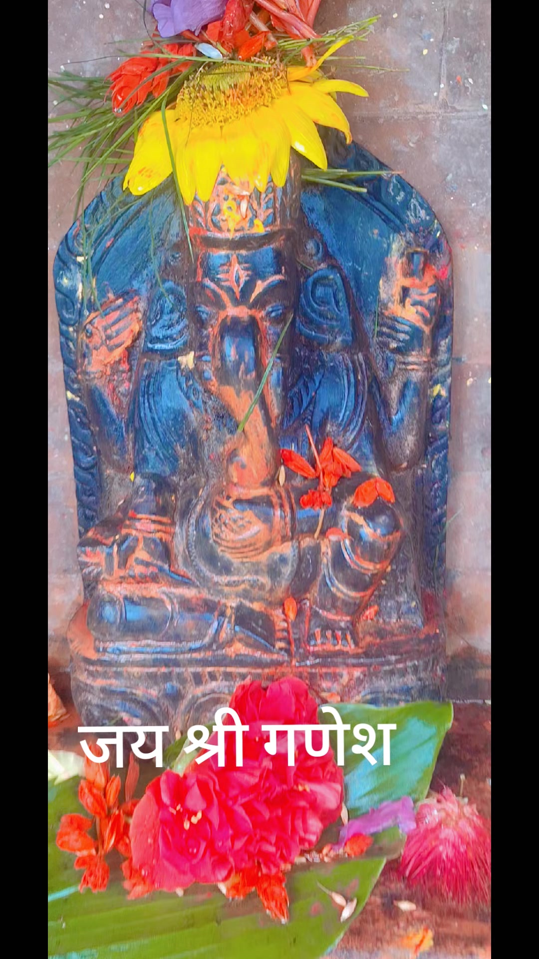 @तपो भुमी नेपाल
