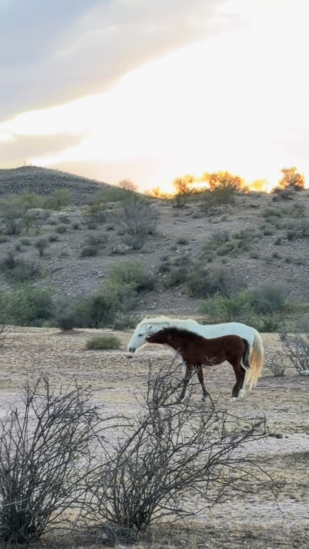 @ASMR Nature Love