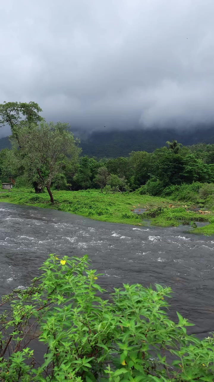 @🌳&bull;&bull;তেতুল বনের গল্প&bull;&bull;🌲