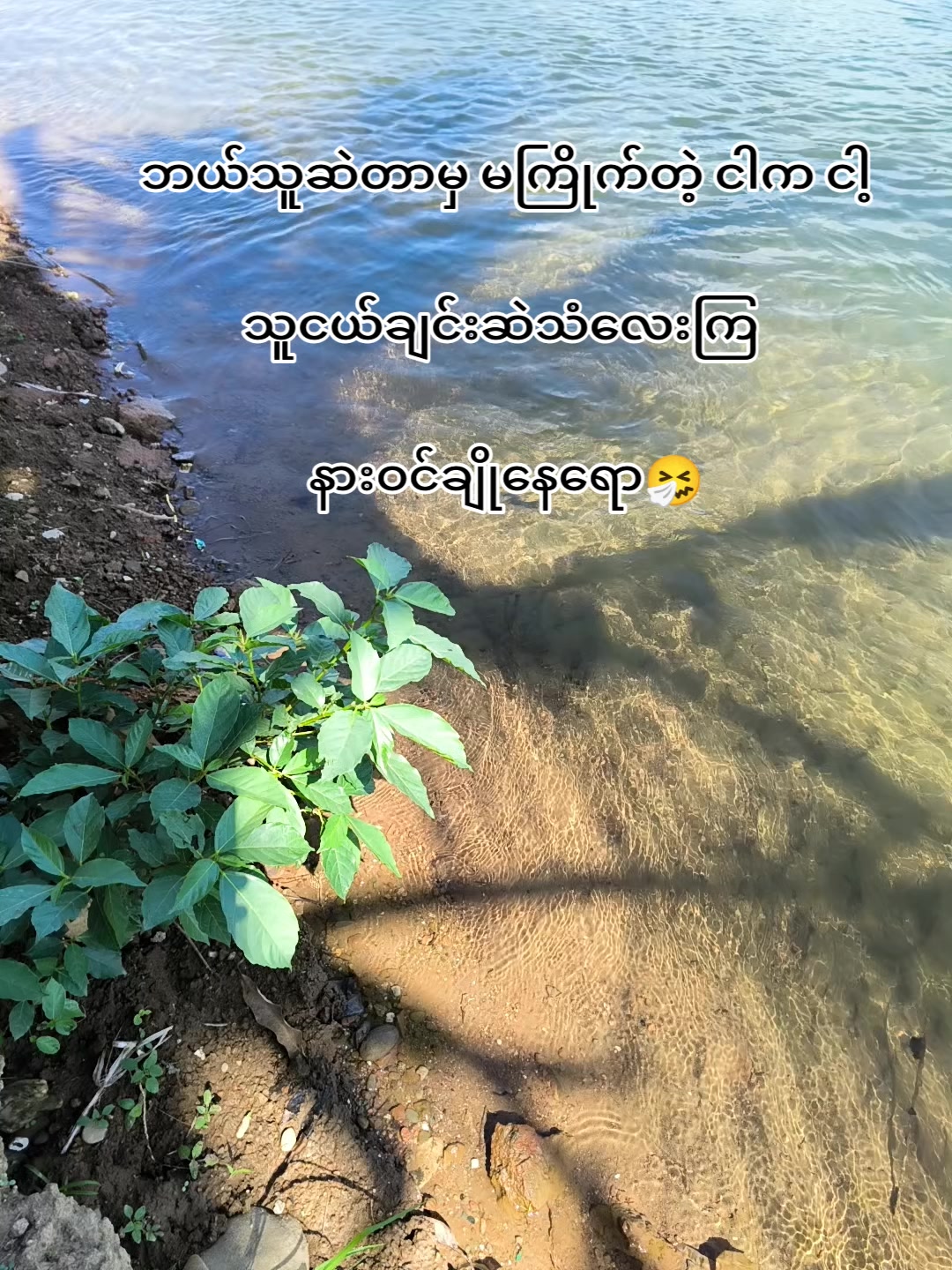 @🍃အမ်"Bi🍀