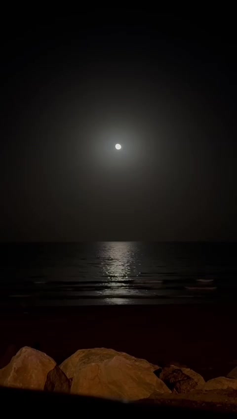 @موزه المقبالي 🤍