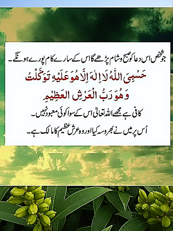 @dilmuhammad