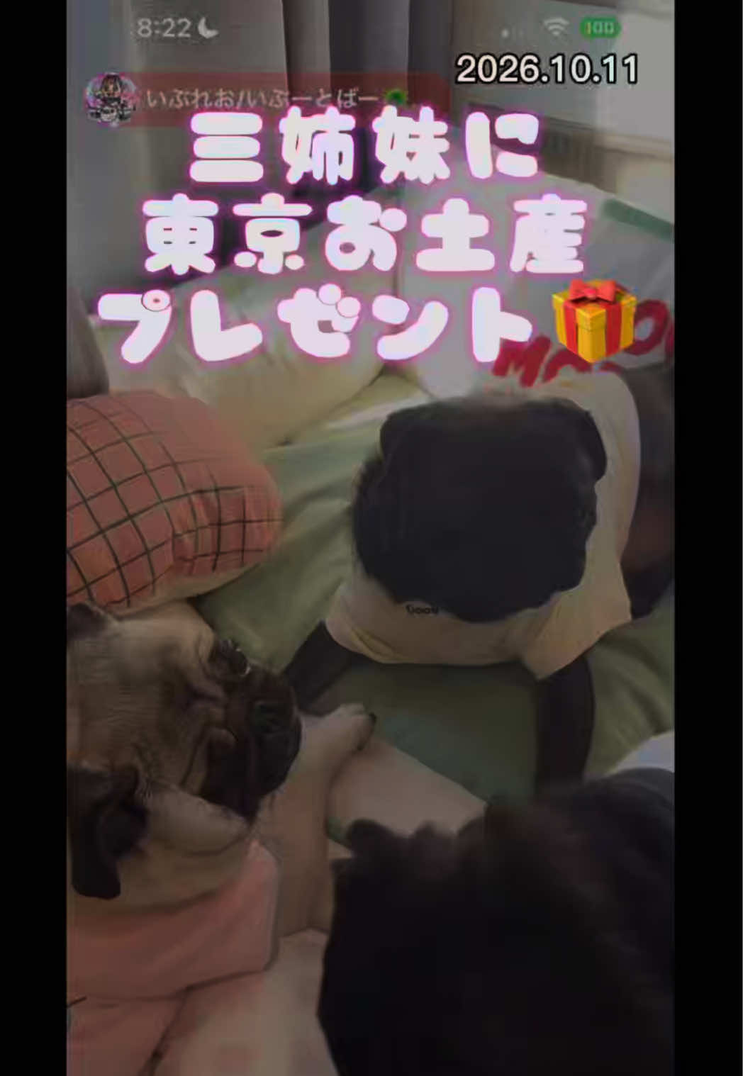 @すずか🧊🫧