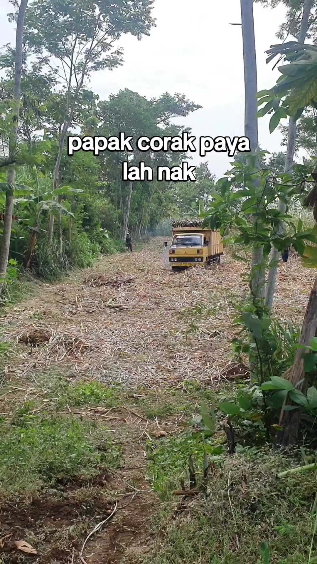 @T@RETAN PROBOLINGGO
