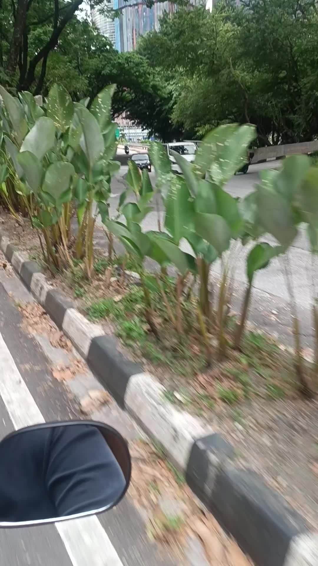 @SM