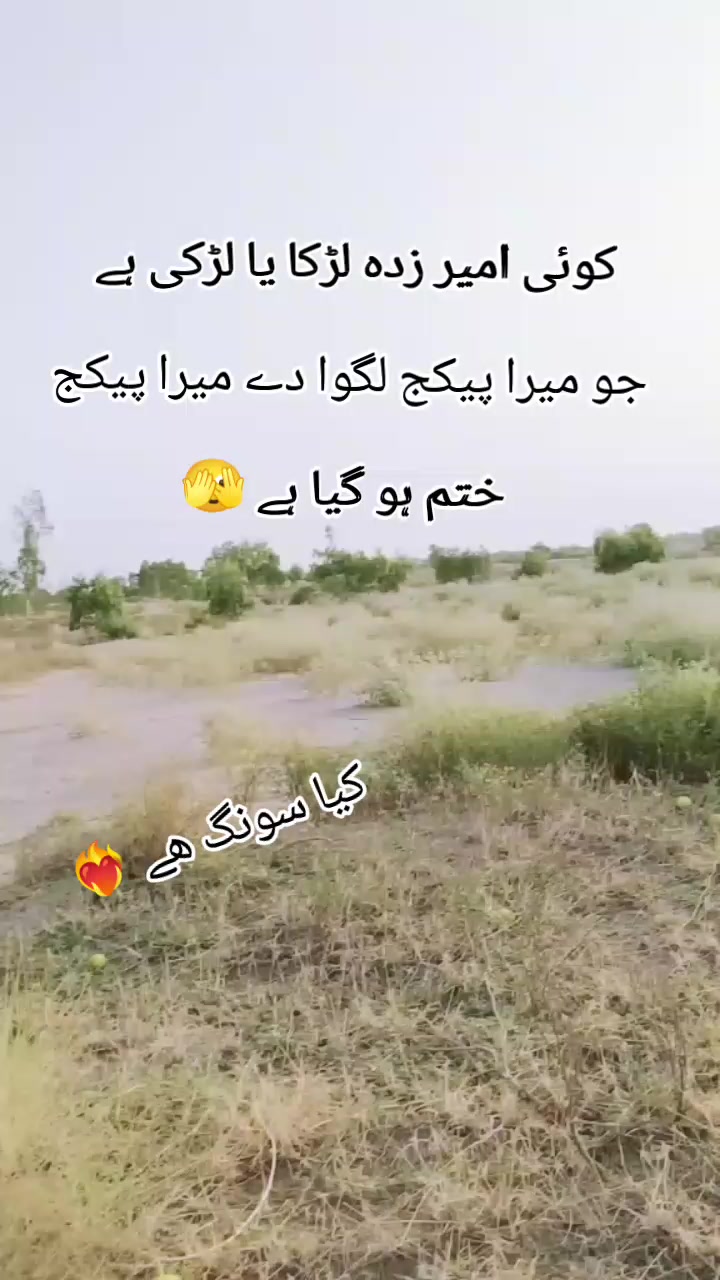 @Noor Malik❤️