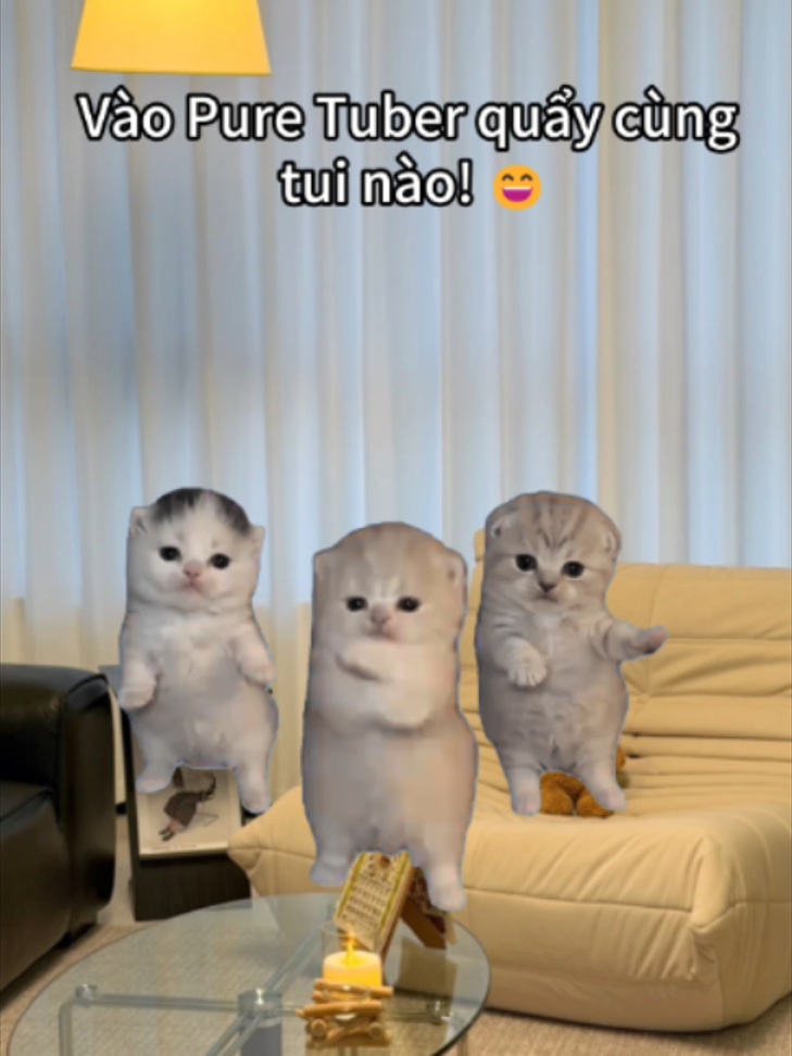 @Pure Tuber Vietnam