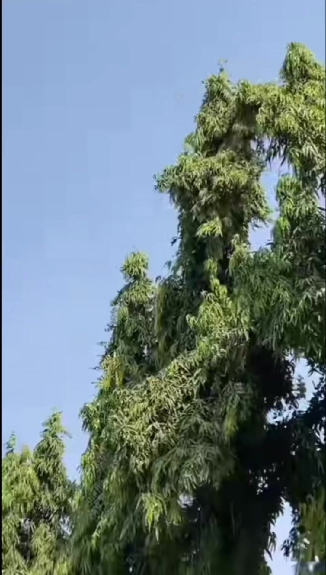 @🐎&Ugrave;b&agrave;ń_kāb&icirc;lā🐎