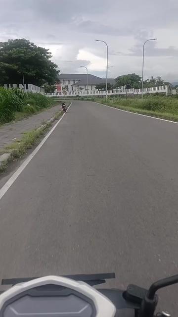 @Ayeb.Dgp