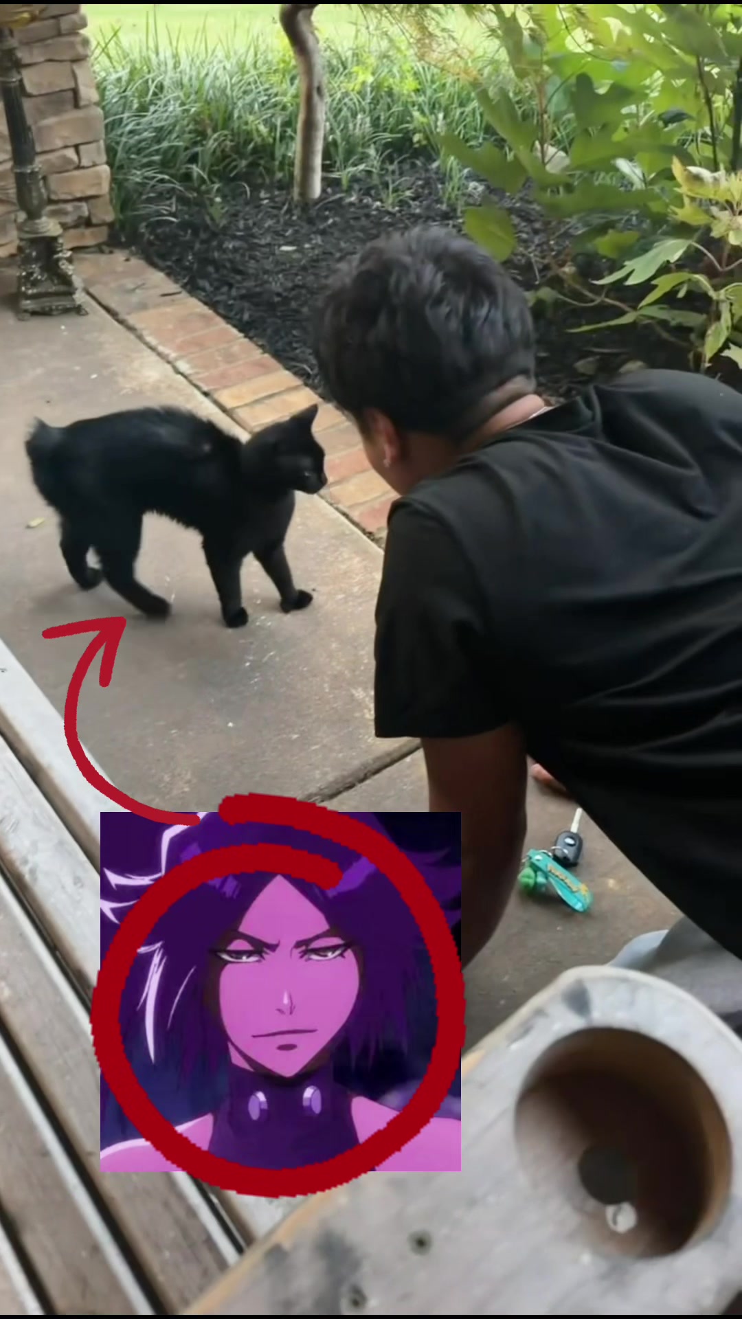 @ayaanSSJ