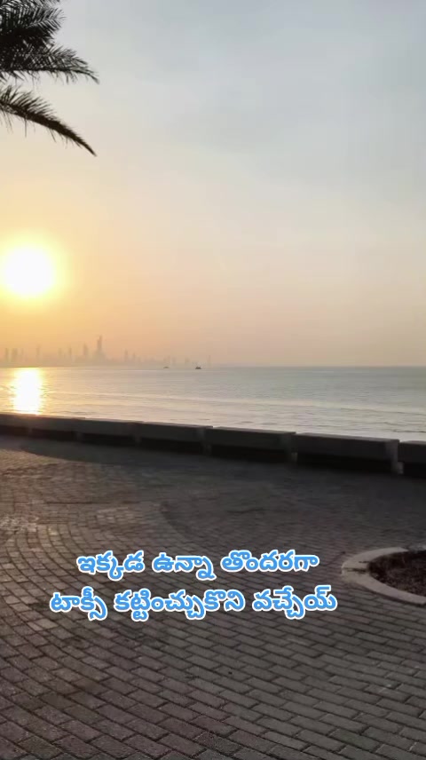 @dhandalaswami