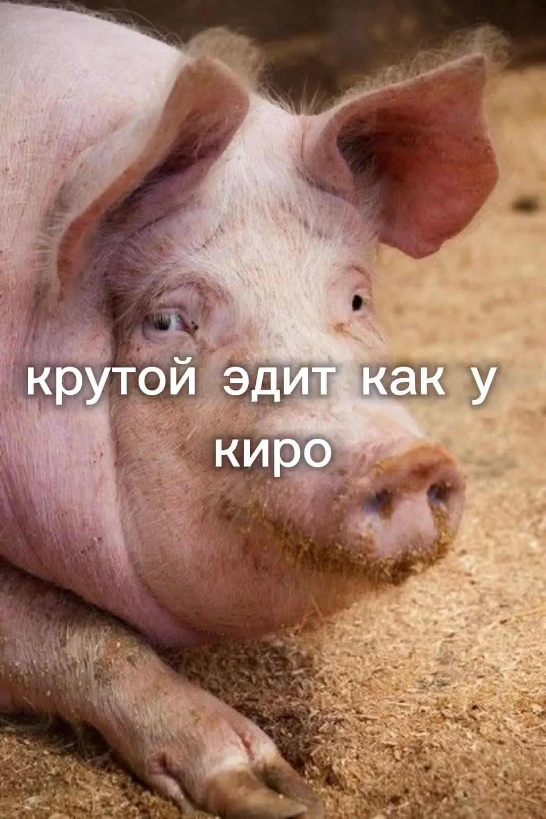 @🇨🇳Zoynix🇨🇳