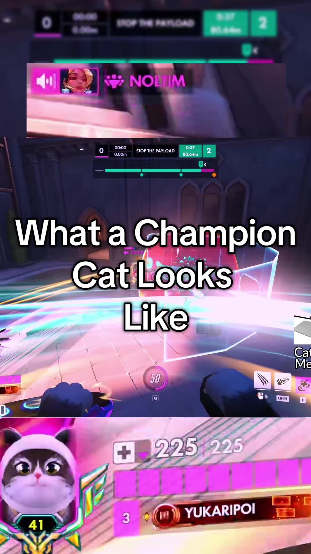 @YukariPoi | TwitchStreamer